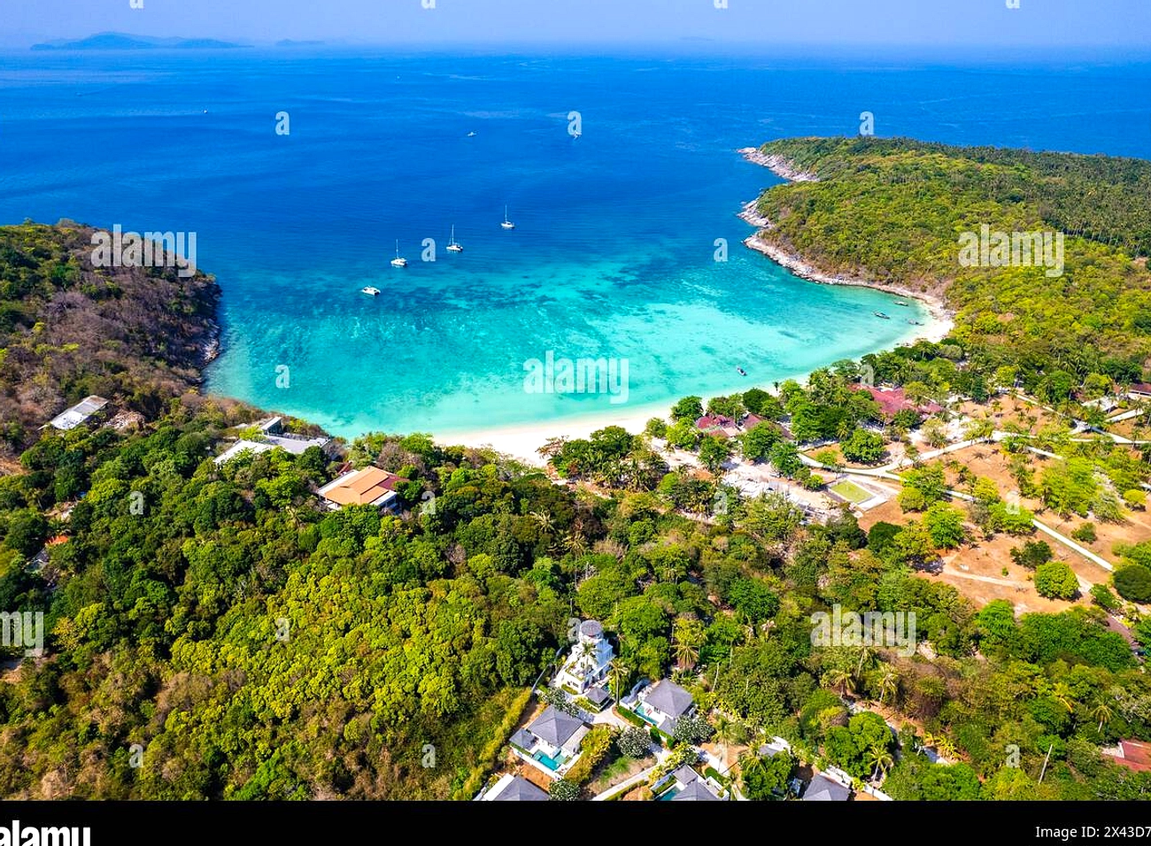 Ubur-ubur bulan dan api muncul di Phuket, peringatan resmi
