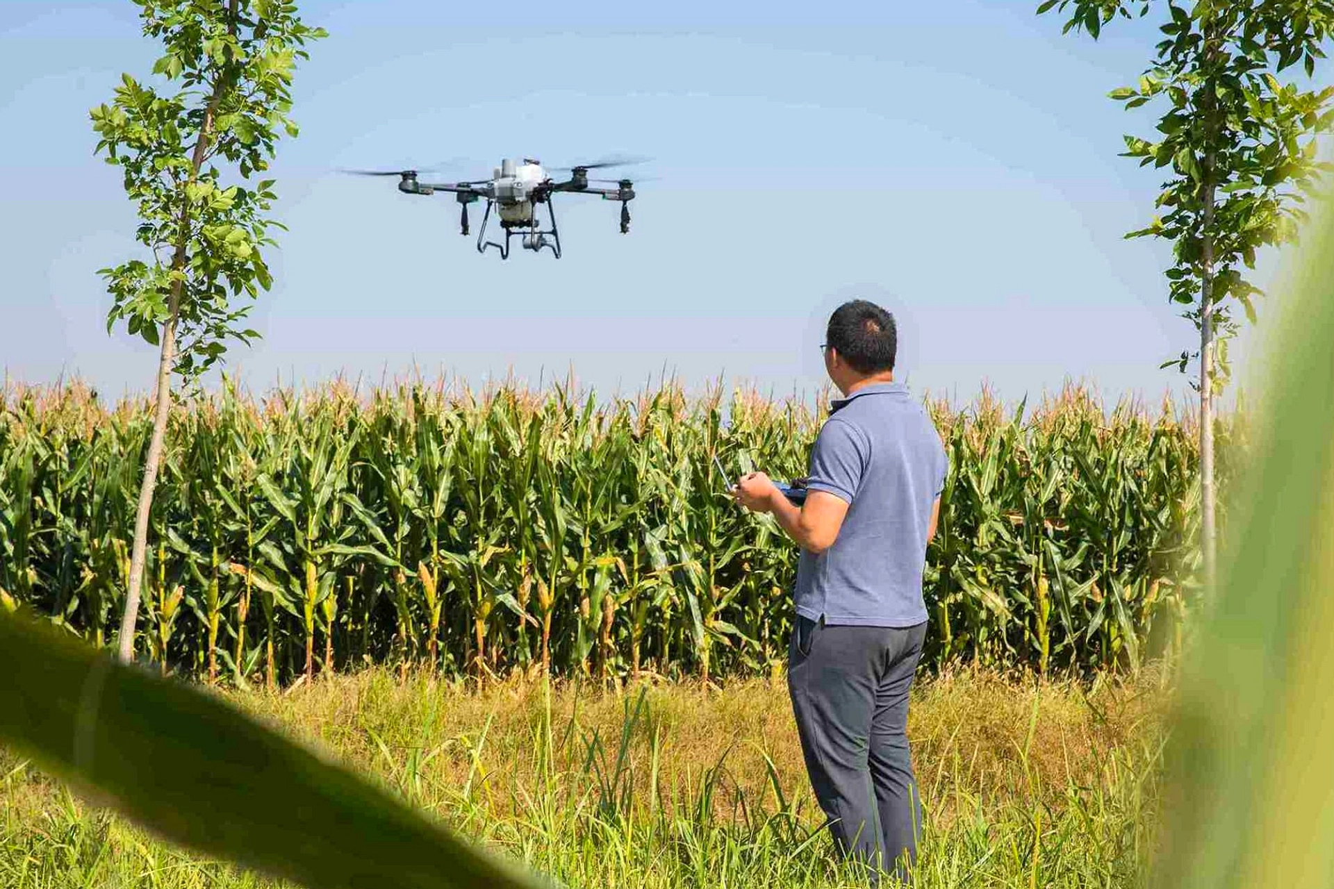 Video Petani Terbang Pakai Drone di Tuban Ternyata Konten