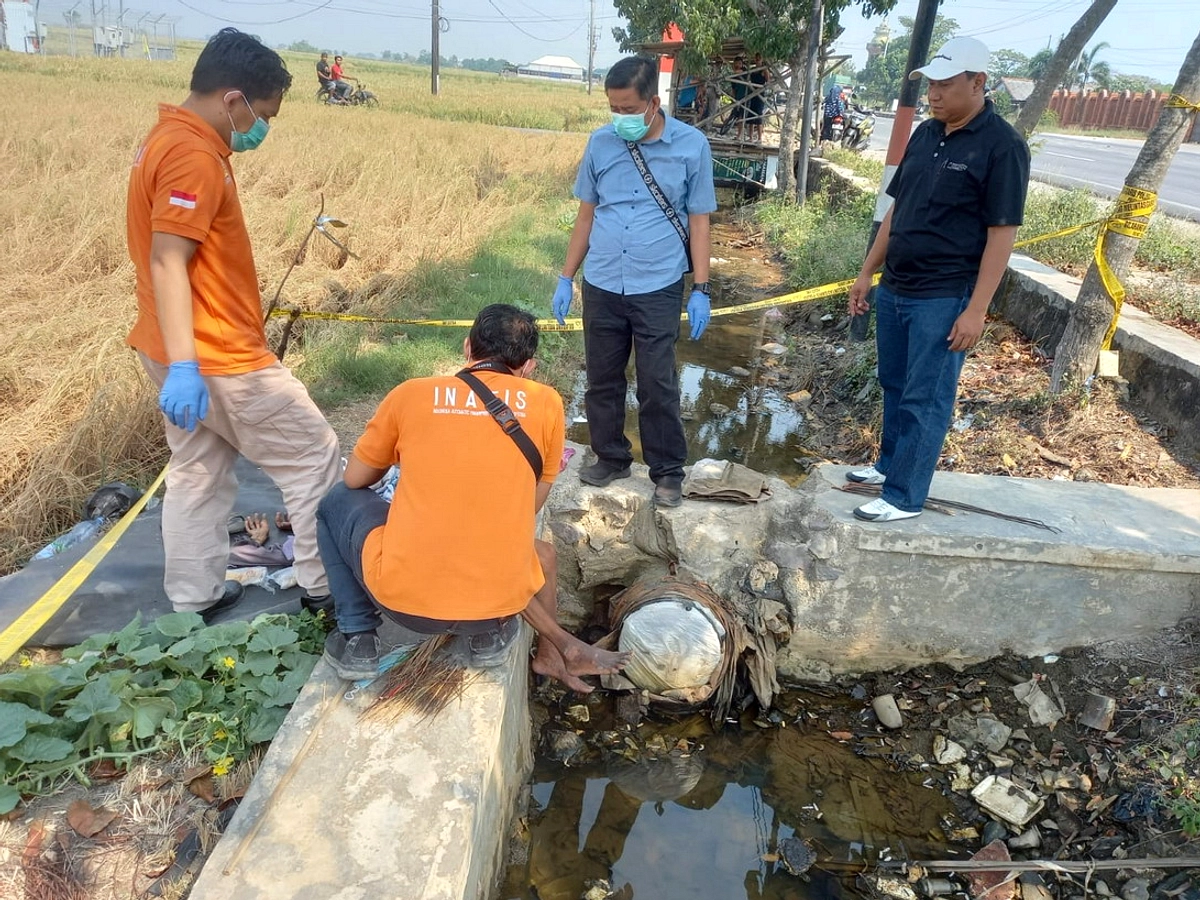 Video Tarian Setengah Bugil di Halalbihalal Bikin Gelut