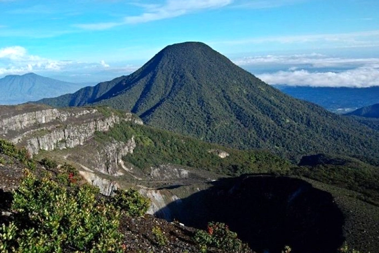 Warga Evakuasi Kukang Jawa, Langsung Dilepasliarkan