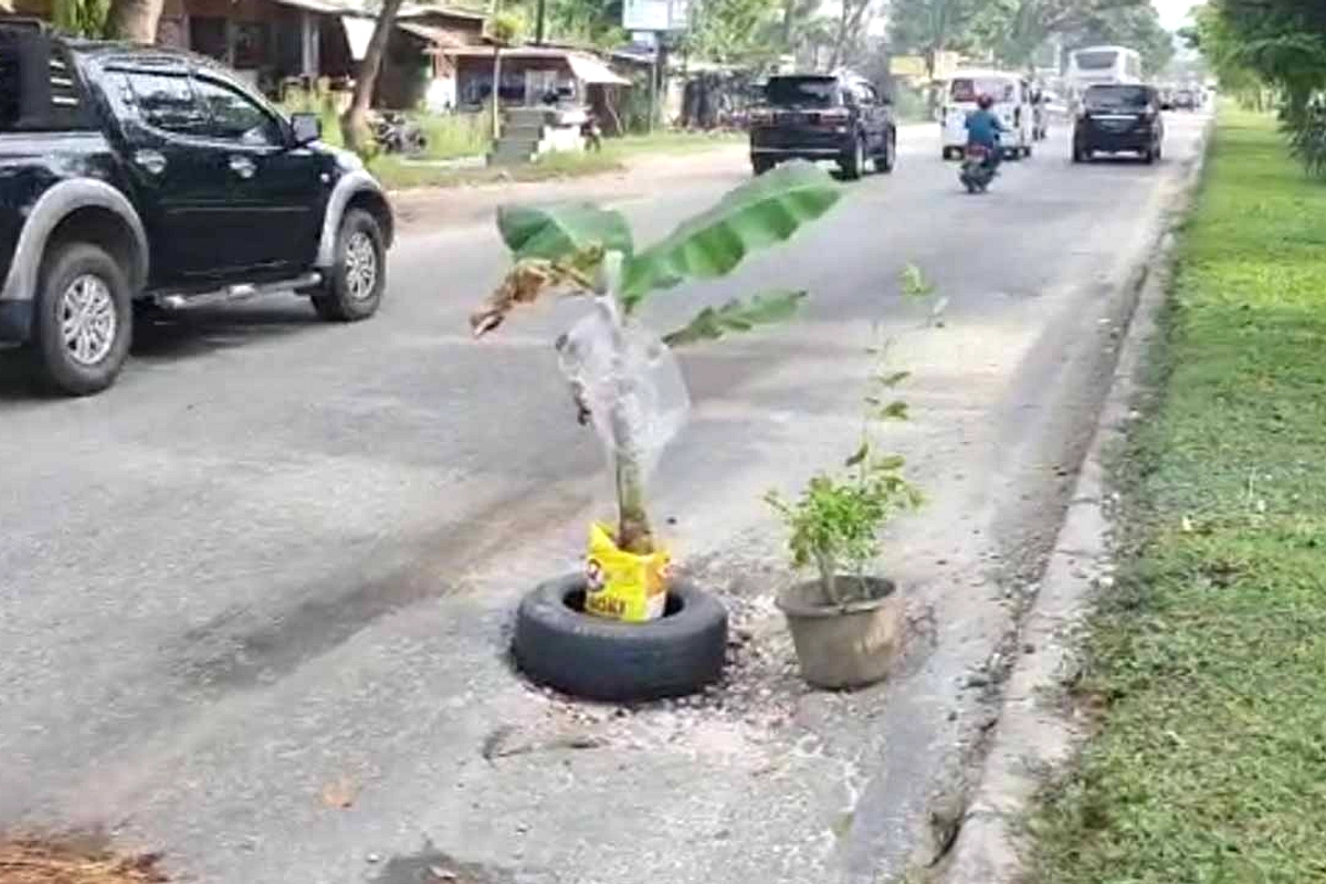 Warga Nganjuk Tanam Pisang, Tebar Ikan: Protest Jalan Rusak