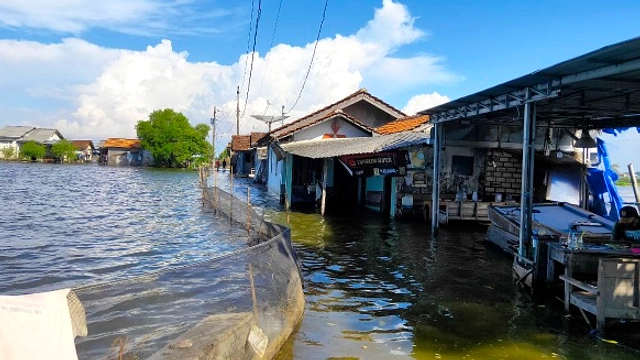 Warga Pati Bertahan di Rumah Terendam Banjir Sebulan