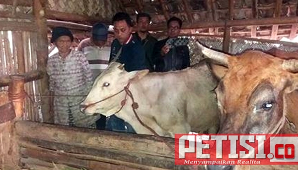 Warga Tangkap Ikan di Dam Rowosumo Setelah Pengeringan