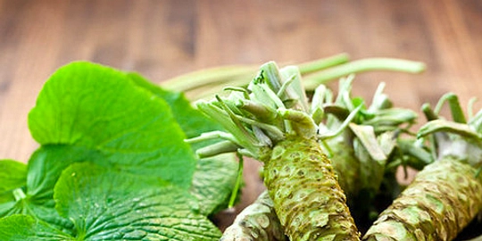 Wasabi Asli: Sensasi Pedas Sejati, Harga Tinggi, Santai Sushi