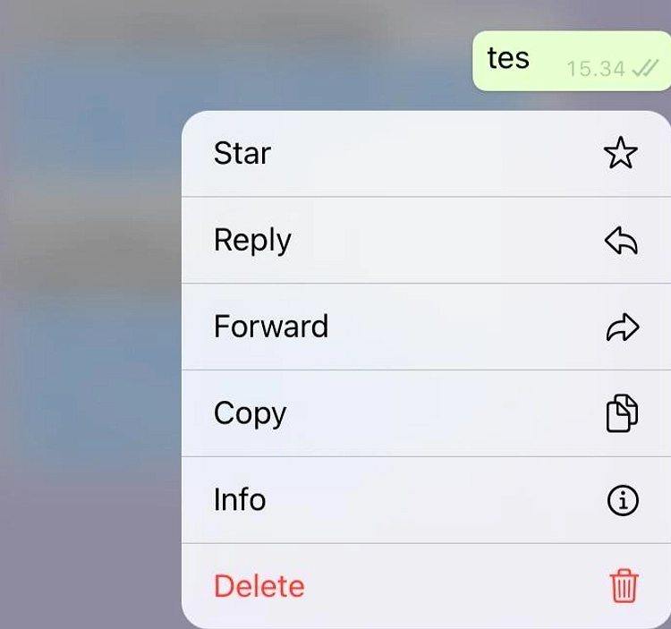 WhatsApp Tambah Fitur Pesan Sementara After Reading di iOS