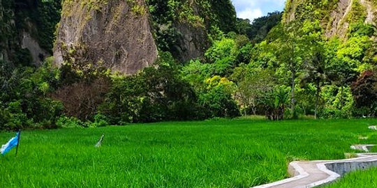 Wisata Bukittinggi & Ngarai Sianok: Alam, Kuliner, Budaya