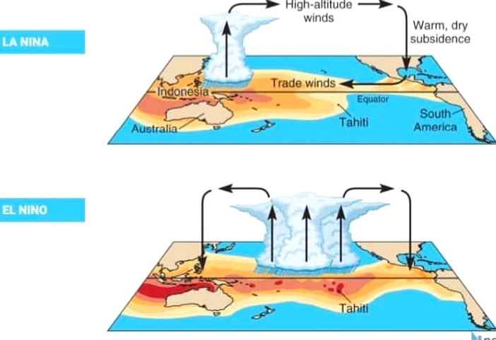 WMO Peringatkan El Nino Kuat Ancam Cuaca Ekstrem